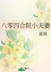 《八零四合院小夫妻》
