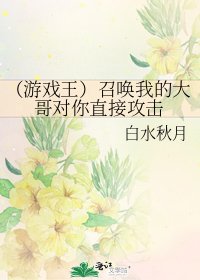 《(游戏王)召唤我的大哥对你直接攻击》