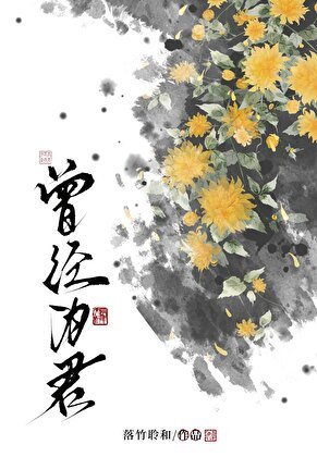 《曾經為君》