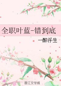 《(BL/全職同人)全職葉藍-錯到底》