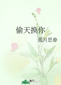 《偷天换你》