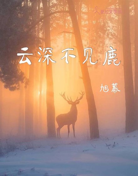 《雲深不見鹿》
