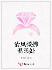 《清風微拂溫柔處》