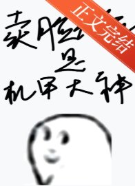 《賣臉花瓶是機甲大神》