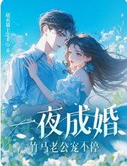 《一夜成婚,竹馬老公寵不停!》