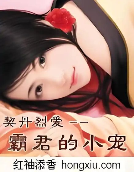 《契丹烈愛:霸君的小寵【全本】》