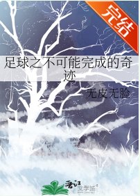 《(足球同人)足球之不可能完成的奇蹟》