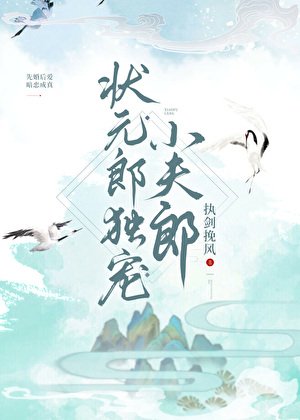 《狀元郎獨寵小夫郎》