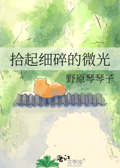 《拾起细碎的微光》