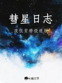 《彗星日誌》