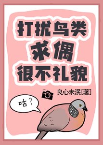 《打擾鳥類求偶很不禮貌!》