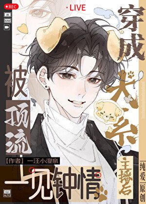 《穿越成犬系主播欢被遵流一見鍾情》