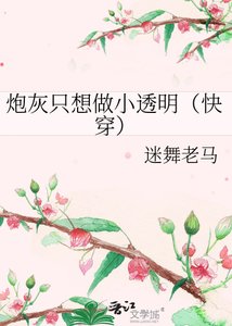 《炮灰只想做小透明(快穿)》