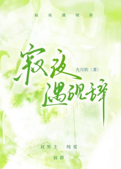 《寂夜遇硯辭》