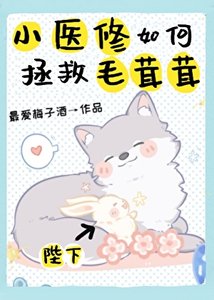 《小醫修如何拯救毛茸茸》
