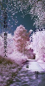 《會長你好,我是會長夫人》