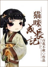 《猫咪成长记》