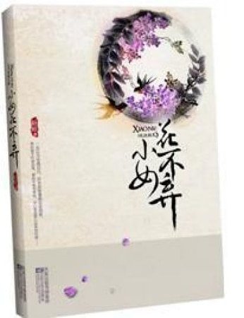 《乞丐丫鬟古代寻情记:不弃(网络版)》