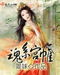 《陨系宫帷》