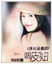 《冰山總裁的調皮妞 》